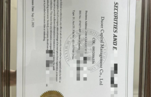 《从 “多尔” 到 “Duoer”：同一家量化巨头的品牌统一与全球信任构建》