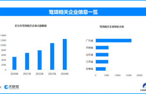 暑期学车当心驾考陷阱，全国现存驾培相关企业近10万家