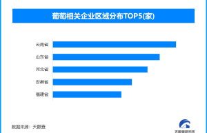 智慧葡萄种植打造“中国甜”，现存葡萄相关企业超5.6万家