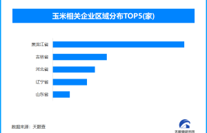 北方早熟玉米种质协作网成立，现存玉米相关企业超8.5万家