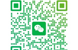 2026第十六届上海国际智能网联新能源汽车技术与生态链博览会