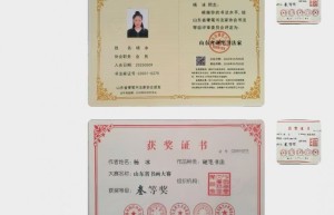 中国书画家证书