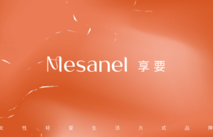 享要闪耀上海API展，引领情趣新风尚