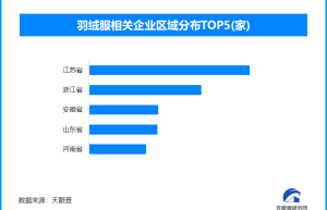 以“丝”代“绒”，在新国标下玩文字游戏的不法羽绒服频现