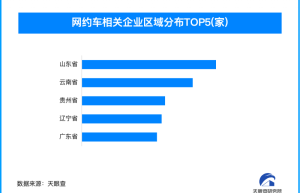 2024年网约车行业加速变革年内已新增超720余家相关企业